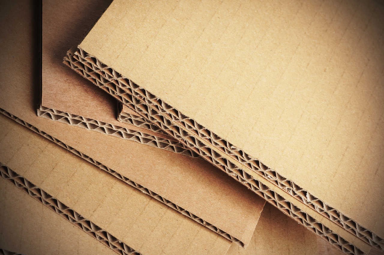 Packaging Design Service