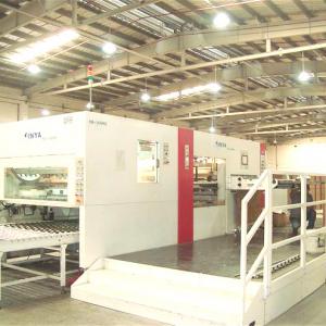 Automatic die cutting machine